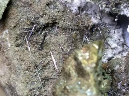 Chalcopyrite, Bismuthinite<br />Fenice Capanne Mine, Massa Marittima, Grosseto Province, Tuscany, Italy<br />11,5 x 5 cm<br /> (Author: Sante Celiberti)