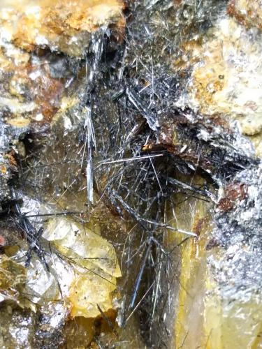 Meneghinite, Boulangerite<br />Mina Bottino, Sant'Anna (Sant'Anna di Stazzema), Alpes Apuanos, Municipio Stazzema, Provincia Lucca, Toscana, Italia<br />20 x 10 cm<br /> (Author: Sante Celiberti)