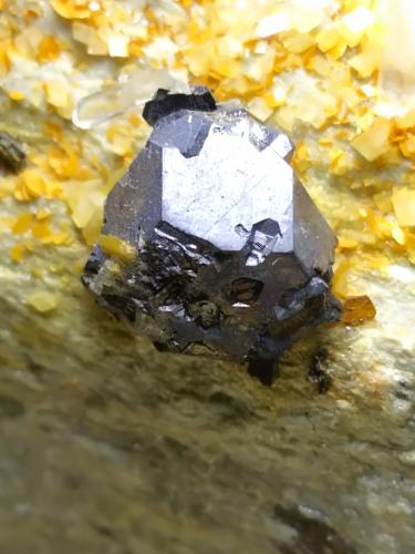 Galena, Quartz<br />Bottino Mine, Sant'Anna (Sant'Anna di Stazzema), Apuan Alps, Stazzema Municipality, Lucca Province, Tuscany, Italy<br />13,5 x 9 cm<br /> (Author: Sante Celiberti)