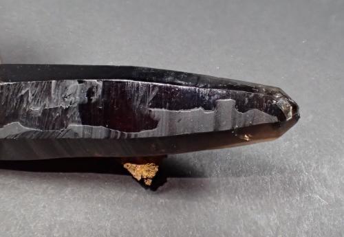 Quartz (variety smoky quartz, variety dauphine law twin), Goethite after Siderite<br />Lake George, Park County, Colorado, USA<br />84 mm x 32 mm x 26 mm<br /> (Author: Don Lum)