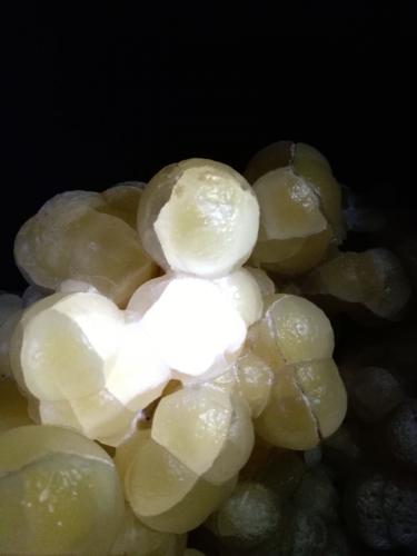 Calcite<br />Rapolano Terme Municipality, Siena Province, Tuscany, Italy<br />45 x 28 cm<br /> (Author: Sante Celiberti)