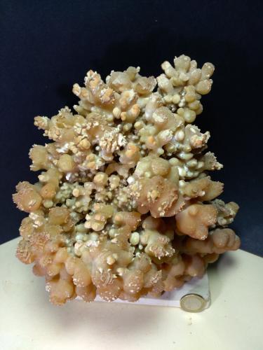 Calcite<br />Montemerano, Manciano, Grosseto Province, Tuscany, Italy<br />22 x 20 cm<br /> (Author: Sante Celiberti)