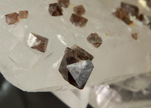 Scheelite on Quartz<br />Mina Yaogangxian, Yizhang, Prefectura Chenzhou, Provincia Hunan, China<br />3.2 x 7.5 x 7.9 cm<br /> (Author: Michael Shaw)