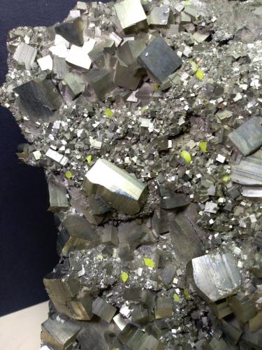 Pyrite, Sulphur<br />Niccioleta Mine, Massa Marittima, Grosseto Province, Tuscany, Italy<br />29,5 x 22 cm<br /> (Author: Sante Celiberti)