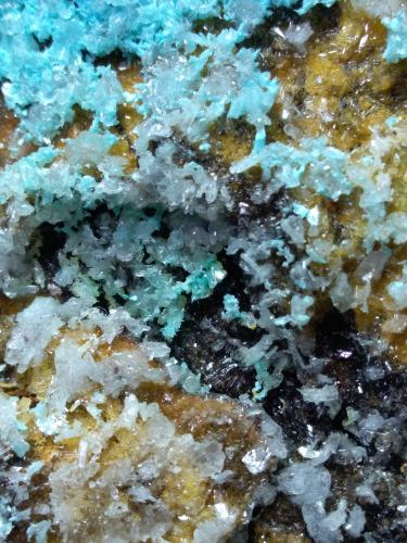 Hemimorphite, Aurichalcite<br />Campiglia Marittima, Campigliese, Livorno Province, Toscana, Italy<br />31 x 25 cm<br /> (Author: Sante Celiberti)