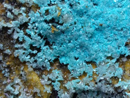 Hemimorphite, Aurichalcite<br />Campiglia Marittima, Campigliese, Livorno Province, Toscana, Italy<br />31 x 25 cm<br /> (Author: Sante Celiberti)