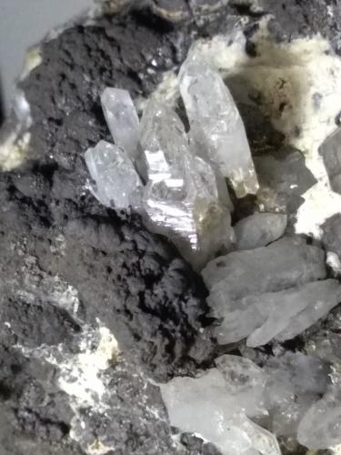 Cuarzo, óxidos de manganeso<br />Campiglia Marittima, Campigliese, Provincia Livorno, Toscana, Italia<br />190 x 125 mm<br /> (Autor: Sante Celiberti)