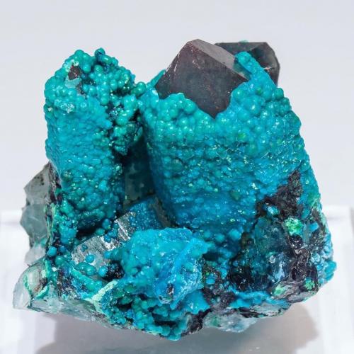 Chrysocolla coating Quartz<br />Tentadora Mine, Ullpac Mountain, Huancano District, Pisco Province, Ica Department, Peru<br />3.3 × 2.8 × 3 cm<br /> (Author: Jordi Fabre)