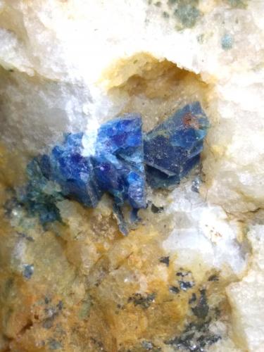 Lazulite<br />Monte Folgorito, Pietrasanta Municipality, Lucca Province, Tuscany, Italy<br />52 x 29 mm<br /> (Author: Sante Celiberti)