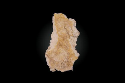 Palygorskite<br />Las Suertes Quarry, Las Suertes, Vegas de Matute, Comarca Suroeste, Segovia, Castile and León, Spain<br />30mm x 55mm x 2mm<br /> (Author: Firmo Espinar)