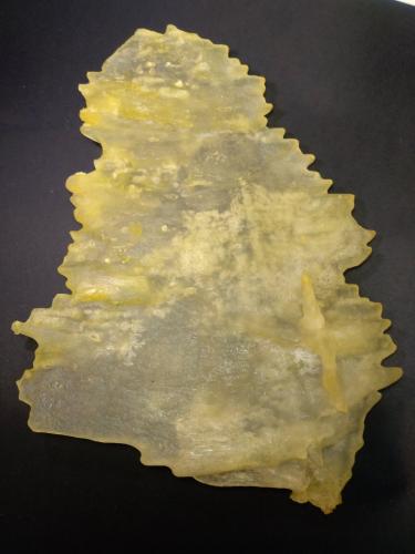 Epsomite<br />Mina Fenice Capanne, Massa Marittima, Provincia Grosseto, Toscana, Italia<br />32 x 23 cm<br /> (Author: Sante Celiberti)