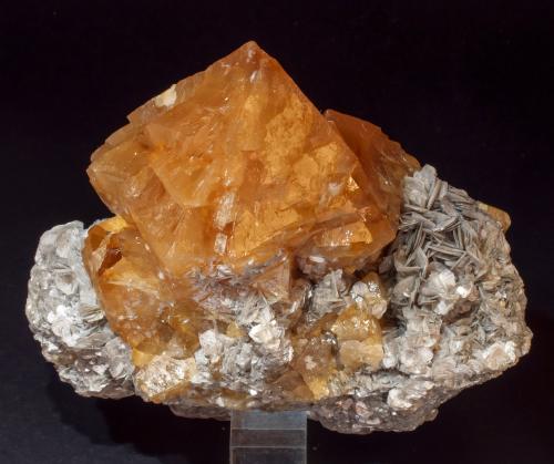 Scheelite on Muscovite<br />Mount Xuebaoding, Pingwu, Mianyang Prefecture, Sichuan Province, China<br />Specimen size: 13.2 × 11.6 × 8.6 cm / main crystal size: 7.2 × 6.6 cm<br /> (Author: Jordi Fabre)