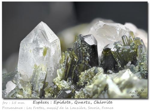 Epidote with Quartz and Chlorite<br />Col de la Madeleine, La Lauzière Massif, Saint-Jean-de-Maurienne, Savoie, Auvergne-Rhône-Alpes, France<br />fov 15 mm<br /> (Author: ploum)