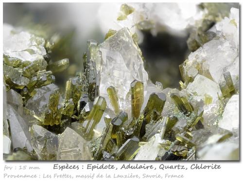 Epidote with Quartz, Orthoclase (variety adularia) and Chlorite<br />Col de la Madeleine, Macizo La Lauzière, Saint-Jean-de-Maurienne, Saboya, Auvergne-Rhône-Alpes, Francia<br />fov 15 mm<br /> (Author: ploum)