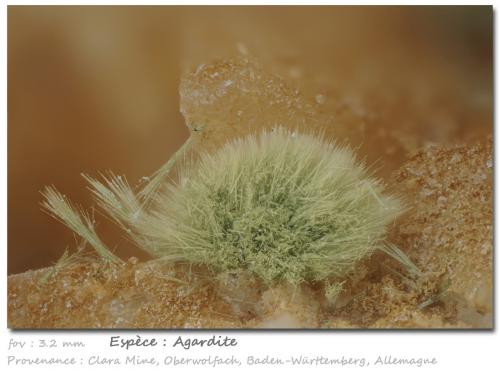 'Agardite'<br />Clara Mine, Rankach Valley, Oberwolfach, Wolfach, Black Forest, Baden-Württemberg, Germany<br />fov 3.2 mm<br /> (Author: ploum)