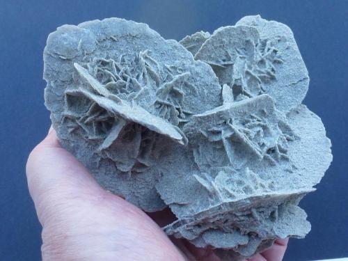 Yeso<br />Gypsum outcrop, Baza, Comarca Baza, Granada, Andalusia, Spain<br />11 x 8 cm.<br /> (Autor: javier ruiz martin)