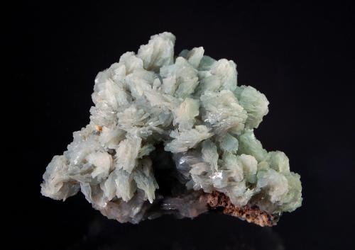Baryte<br />Emilio Mine, Obdulia vein, Caravia mining area, La Rubiera, Loroñe, Colunga, Comarca de la Sidra, Principality of Asturias (Asturias), Spain<br />5.7 x 8.3 cm<br /> (Author: Michael Shaw)