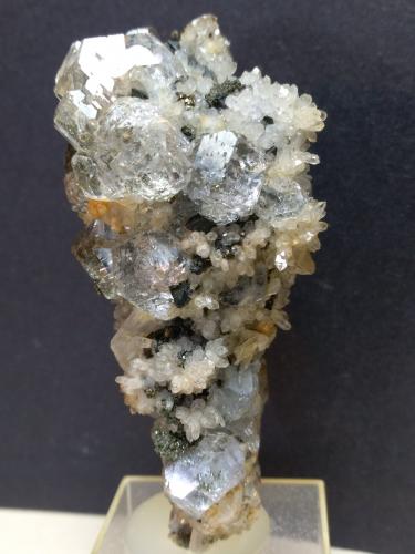 Fluorite, Pyrite, Tetrahedrite, Quartz, Anhydrite<br />Campiano Mine, Montieri, Grosseto Province, Tuscany, Italy<br />80 x 51 mm<br /> (Author: Sante Celiberti)