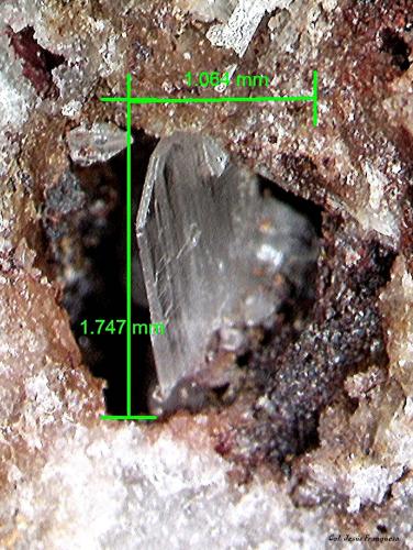 Cerusita.<br />Sierra del Cabo de Gata, Níjar, Comarca Metropolitana de Almería, Almería, Andalucía, España<br />1´747 x 1´064 mm.<br /> (Autor: Jesus Franquesa Baucells)