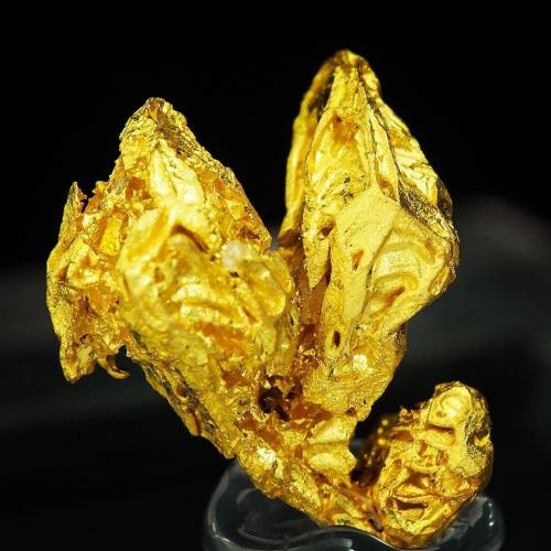 Gold<br />Dongbeizhai Mine, Songpan, Ngawa Autonomous Prefecture, Sichuan Province, China<br />Specimen size: 1.1 × 0.9 × 0.5 cm /  main crystal size: 1 × 0.3 cm<br /> (Author: Jordi Fabre)