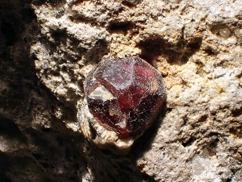 Almandino (Grupo Granate)<br />El Hoyazo, Níjar, Comarca Metropolitana de Almería, Almería, Andalusia, Spain<br />CV  2 x 1 cm<br /> (Autor: Joan Niella)