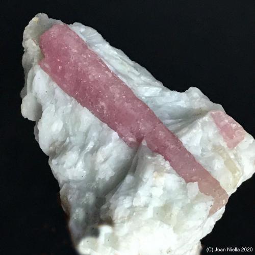 Elbaíta (variedad rubelita)<br />Minas Gerais, Brasil<br />6 x 4 cm<br /> (Autor: Joan Niella)