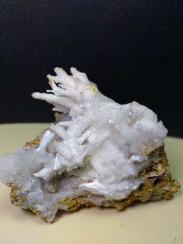 Aragonite (variety flos ferri)<br />Mina Castagno (Migliarini e Forra), Gambassi Terme, Ciudad metropolitana de Florencia, Toscana, Italia<br />74 x 70 mm<br /> (Author: Sante Celiberti)