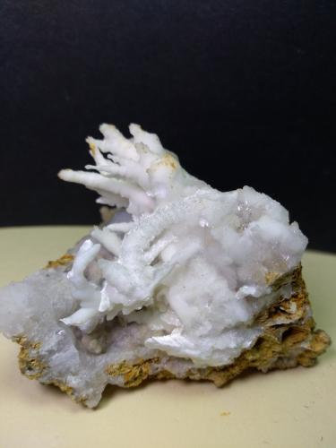 Aragonite (variety flos ferri)<br />Castagno Mine (Migliarini e Forra), Gambassi Terme, Metropolitan City of Florence, Tuscany, Italy<br />74 x 70 mm<br /> (Author: Sante Celiberti)