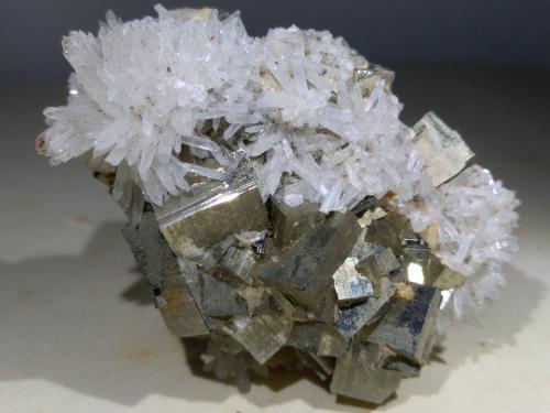 Pyrite, Aragonite (variety strontian)<br />Minas Boccheggiano, Montieri, Provincia Grosseto, Toscana, Italia<br />50 x 35 mm<br /> (Author: Sante Celiberti)