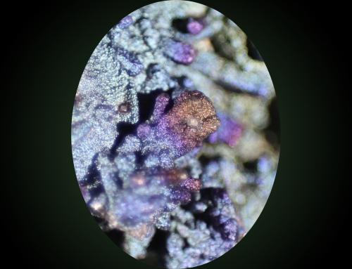 Cerussite, Goethite<br />San Valentín open pit, Sancti Espíritu, Sierra Minera de Cartagena-La Unión, La Unión, Comarca Campo de Cartagena, Region of Murcia (Murcia), Spain<br />FOV 6mm high<br /> (Author: Firmo Espinar)