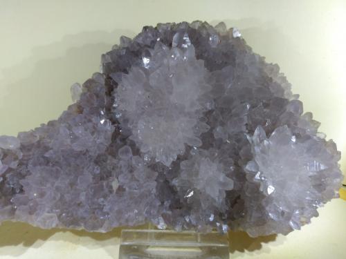 Quartz<br />Bagni di Petriolo (Terme di Petriolo), Civitella Paganico, Grosseto Province, Tuscany, Italy<br />15 x 8 cm<br /> (Author: Sante Celiberti)