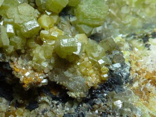 Piromorfita, Cuarzo, Goethita<br />Resuperferolítica claim, Cerro de la Canaleja, Santa Eufemia, Comarca Los Pedroches, Córdoba, Andalusia, Spain<br />Encuadre 2 x 2 cm.<br /> (Autor: javier ruiz martin)