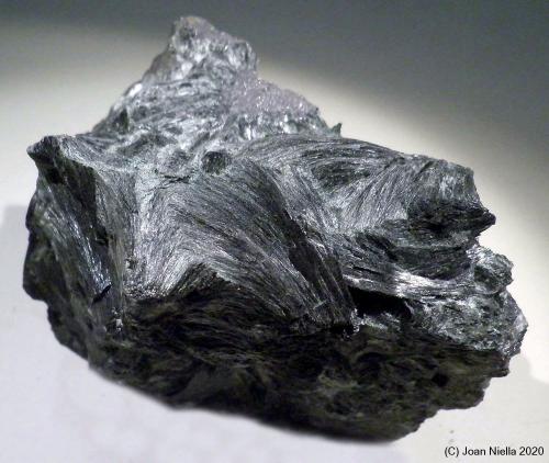 Ferro-Pargasita<br />Cala, Comarca Sierra de Huelva, Huelva, Andalucía, España<br />10 x 10 cm<br /> (Autor: Joan Niella)