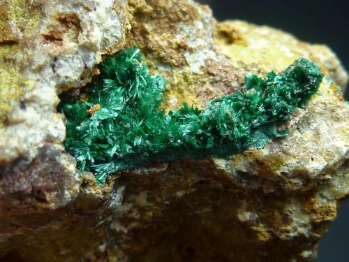 Malaquita<br />Sol Mine, Cerro de los Guardias, Rodalquilar, Níjar, Comarca Metropolitana de Almería, Almería, Andalusia, Spain<br />6 x 4 cm. la pieza<br /> (Autor: javier ruiz martin)