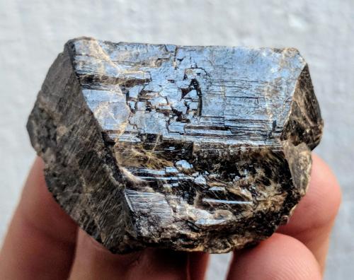 Casiterita<br />Boticas, Vila Real District, Alto Trás-os-Montes, Norte Region, Portugal<br />4,2 x 2,8 x 2,5 cm.<br /> (Autor: Carles)