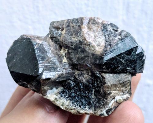 Casiterita<br />Tin deposit, Logrosán, San Cristóbal Hill, Comarca Las Villuercas, Cáceres, Extremadura, Spain<br />5,0 x 4,0 cm.<br /> (Autor: Carles)