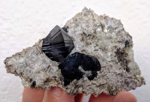 Casiterita<br />Penouta Mines, Penouta (San Bartolomé), Viana do Bolo, Comarca Viana, Orense / Ourense, Galicia / Galiza, Spain<br />8,0 x 5,5 cm.<br /> (Autor: Carles)
