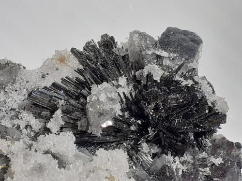 Stibnite, Calcite<br />Mina Herja, Chiuzbaia, Baia Sprie, Maramures, Rumanía<br />12 x 7 cm<br /> (Author: Volkmar Stingl)