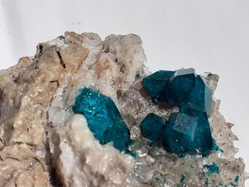 Dioptase, Quartz<br />Altyn-Tyube deposit, Altyn-Tyube area, Kirghiz Steppes, Karaganda Region, Kazakhstan<br />8 x 7 cm<br /> (Author: Volkmar Stingl)