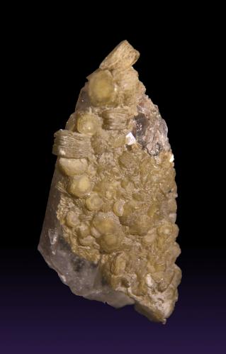 Quartz with Siderite<br />Minas da Panasqueira, Aldeia de São Francisco de Assis, Covilhã, Castelo Branco, Cova da Beira, Centro, Portugal<br />41mm x 92mm x 30mm<br /> (Author: Firmo Espinar)