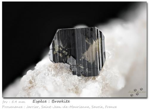 Brookite<br />Jarrier, Saint-Jean-de-Maurienne, Savoie, Auvergne-Rhône-Alpes, France<br />fov 5.4 mm<br /> (Author: ploum)