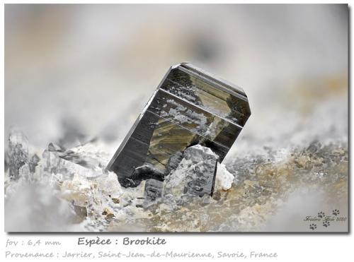 Brookite<br />Jarrier, Saint-Jean-de-Maurienne, Savoie, Auvergne-Rhône-Alpes, France<br />fov 6.4 mm<br /> (Author: ploum)