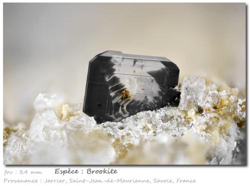 Brookite<br />Jarrier, Saint-Jean-de-Maurienne, Savoie, Auvergne-Rhône-Alpes, France<br />fov 3.4 mm<br /> (Author: ploum)