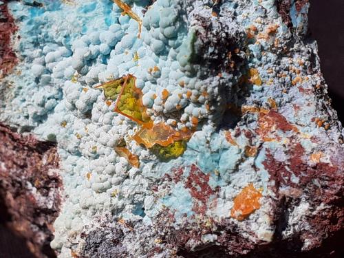 Wulfenite, Mimetesite, Chrysocolla<br />Concesión D. H., Keystone Gulch, Chilito, Zona Hayden, Distrito Banner, Montes Dripping Spring, Condado Gila, Arizona, USA<br />4 x 4 cm<br /> (Author: Volkmar Stingl)