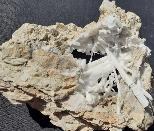 Aragonite (variety flos ferri)<br />Erzberg, Eisenerz (Steiermark), Leoben District, Styria/Steiermark, Austria<br />8 x 7 cm<br /> (Author: Volkmar Stingl)