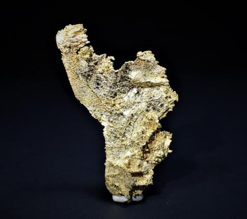 Gold<br />Round Mountain Mine, Round Mountain, Round Mountain District, Nye County, Nevada, USA<br />36 mm x 20 mm<br /> (Author: Don Lum)