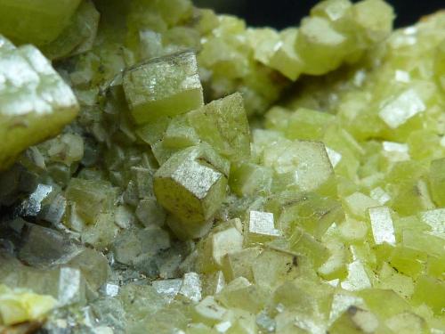 Piromorfita<br />Resuperferolítica claim, Cerro de la Canaleja, Santa Eufemia, Comarca Los Pedroches, Córdoba, Andalusia, Spain<br />Zona de cristales 3,5 x 2,5 cm.<br /> (Autor: javier ruiz martin)