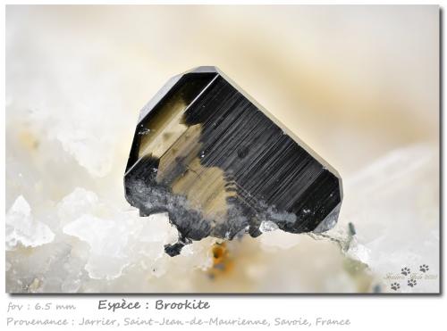 Brookite<br />Jarrier, Saint-Jean-de-Maurienne, Savoie, Auvergne-Rhône-Alpes, France<br />6.5 mm<br /> (Author: ploum)