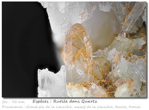 Rutile in quartz<br />Grand Pic de la Lauzière, Macizo La Lauzière, Saint-Jean-de-Maurienne, Saboya, Auvergne-Rhône-Alpes, Francia<br />fov 7.0 mm<br /> (Author: ploum)