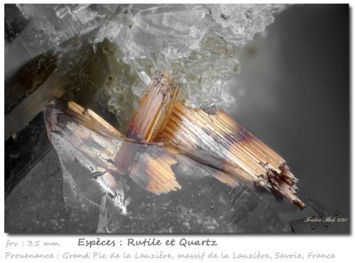 Rutile in/on Quartz<br />Grand Pic de la Lauzière, La Lauzière Massif, Saint-Jean-de-Maurienne, Savoie, Auvergne-Rhône-Alpes, France<br />fov 3.5 mm<br /> (Author: ploum)